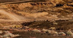 Aristocrat收购Neon Games强化社交赌场业务